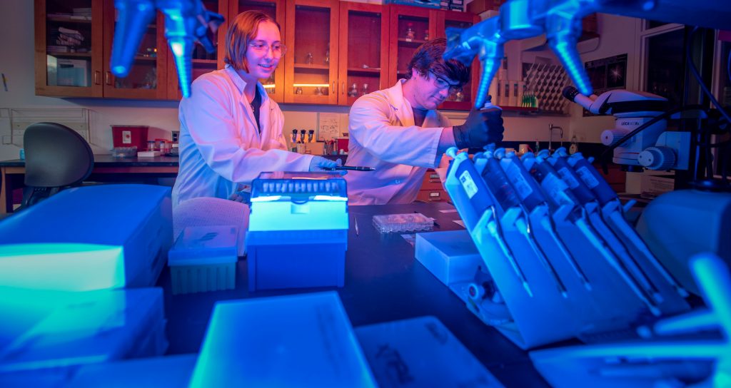 conover_lab_230208b0122-crop A male and female scientist working in a laboratory.