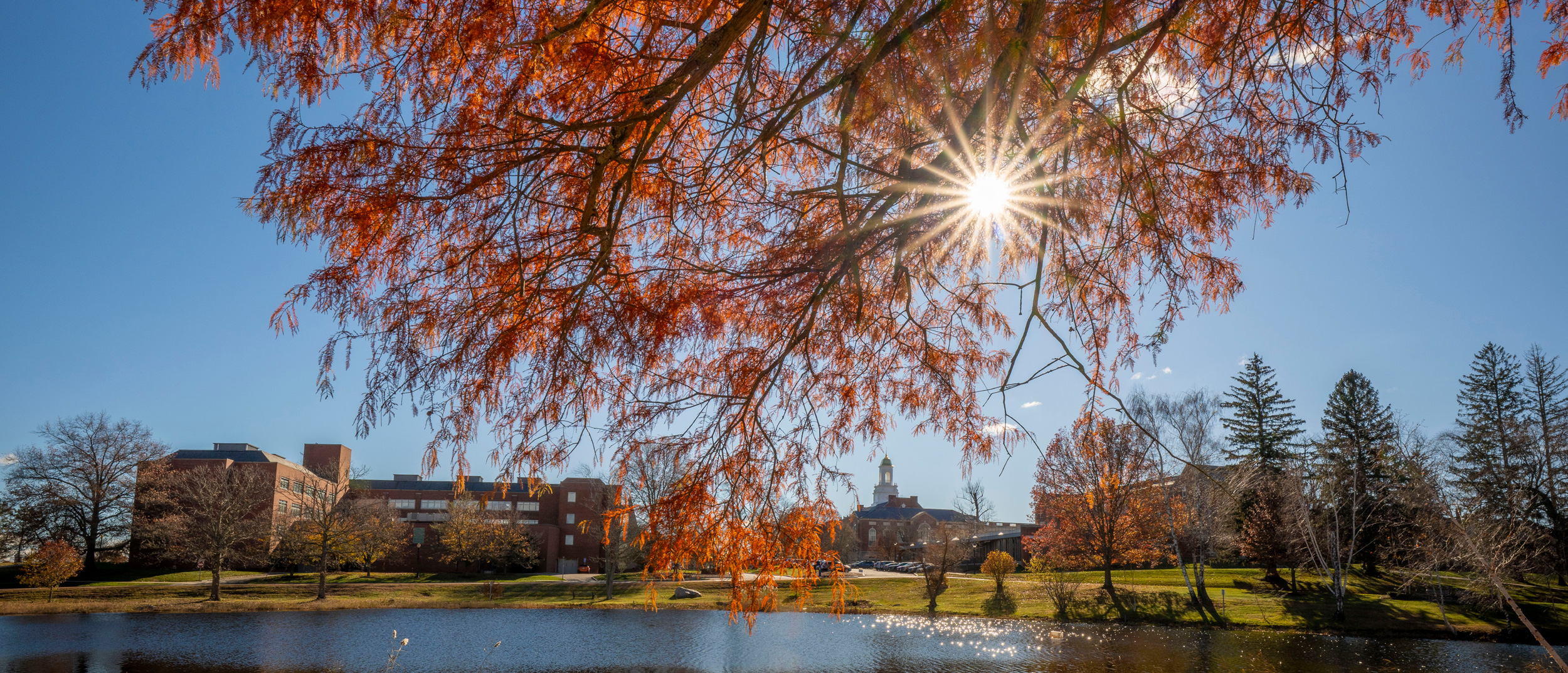 Sunlight shining through orange autumn leaves over a pond, with campus buildings and trees in the background.