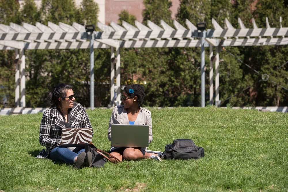 Students sit on the lawn at the Whitey Heist Park at the Stamford campus