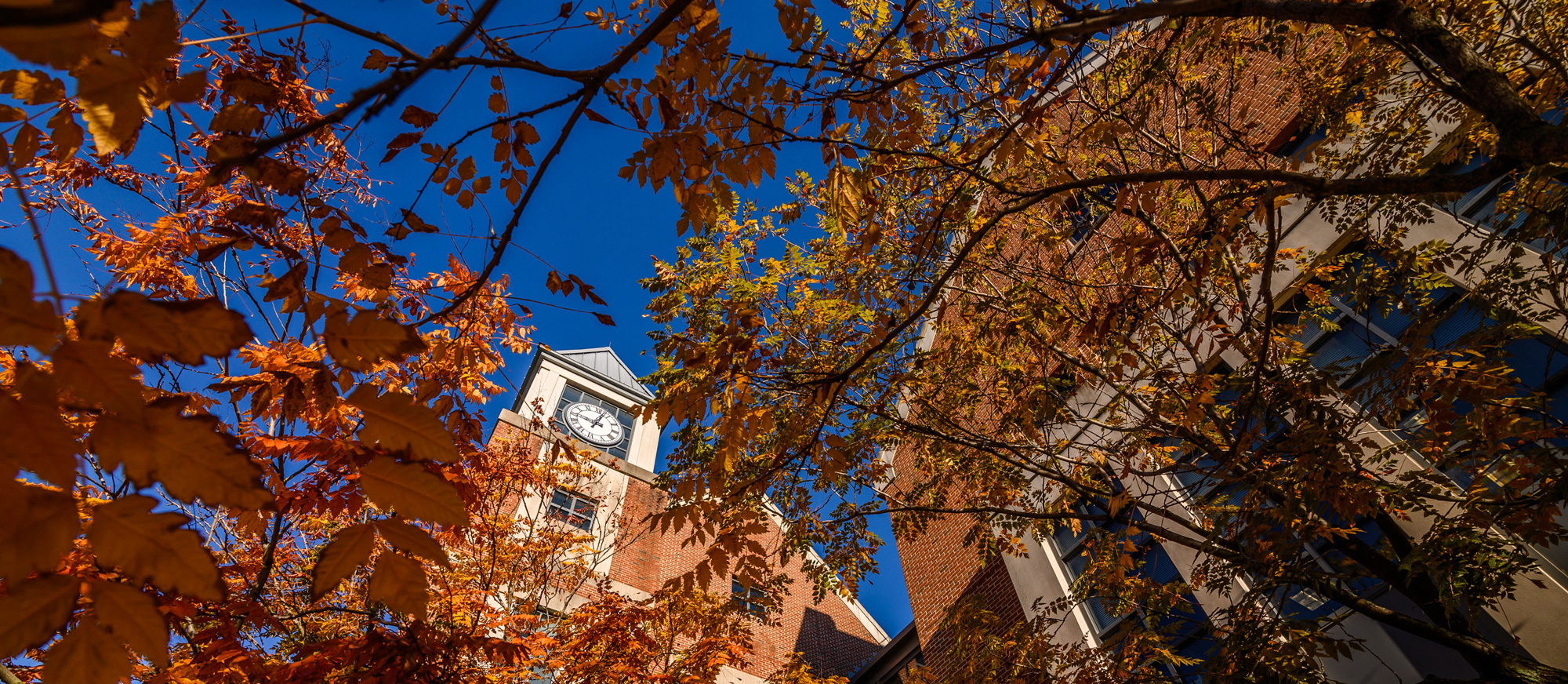 Waterbury clocktower in fall