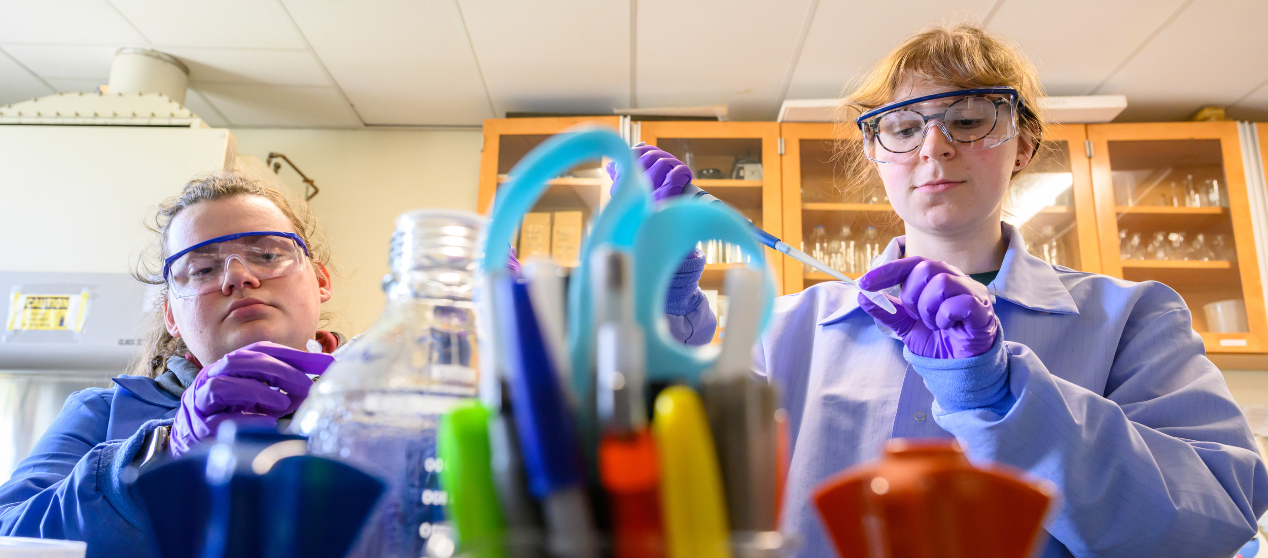 Graduate and undergraduate students work at the bench in Dennis D'Amico's lab at the Agricultural Biotechnology Laboratory