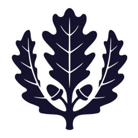 msapplication-TileImage